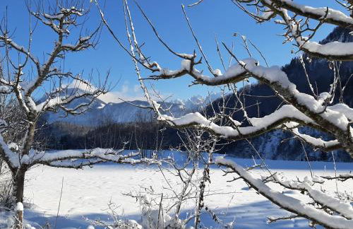 Ferienwohnung Wertenauer - Foto 16