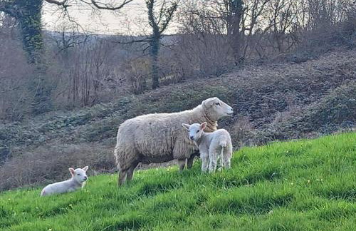 Charming Barn Conversion - Idyllic Rural Retreat- Pet Friendly - Foto 27
