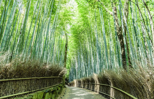 MIMARU Kyoto Nishinotoin Takatsuji - Foto 64