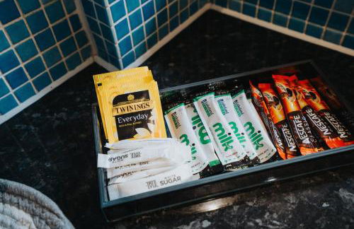 VICHY - Temple Court Superb apartment in City Center - Foto 17