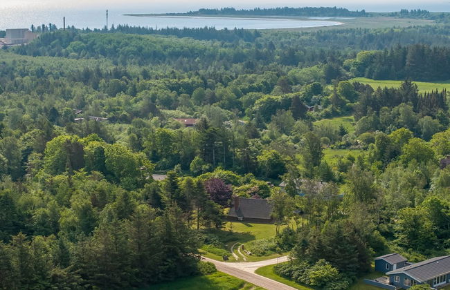 "Paale" - 200m to the fjord - Foto 6