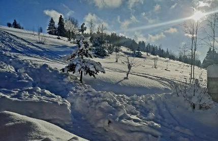 Domek Kojsówka - Foto 18