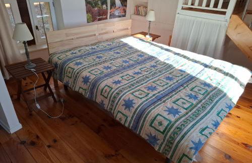 Domaine du Bois Noir - Foto 11