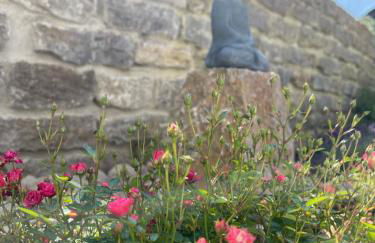 Petite Lavande - Foto 12