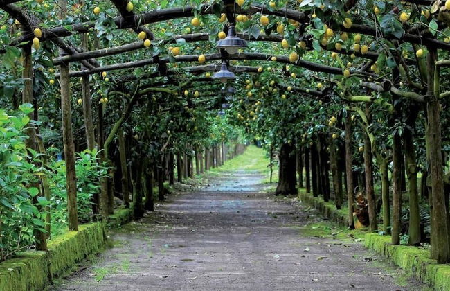 Agriturismo Il Convento - Foto 25