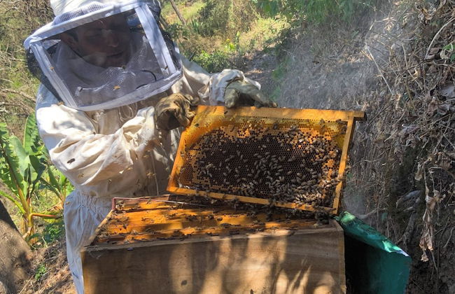 Finca El Tambor - Foto 42