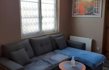 Les Coquelicots En Baie De Somme - Foto 3