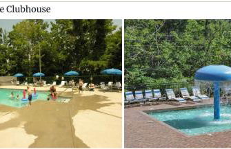 Bears Among Us - Foto 35