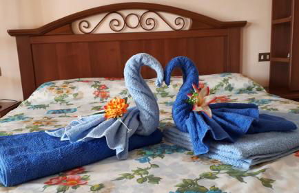 La casa di Ginger - Malpensa - Foto 7