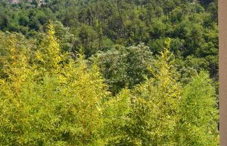 Agriturismo Torsivì - Foto 25