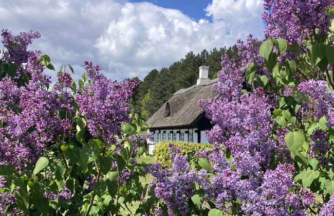 "Eva" - 1.5km to the fjord - Photo 2