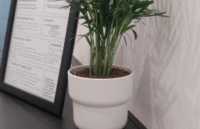 Sogni di Stelle - Photo 26