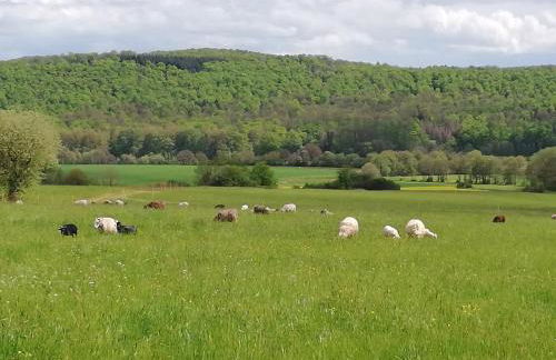 Haus Kellerwald - Ferienwohnung Kellerwald-Edersee - Foto 40