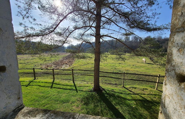 Lovely Holiday Home in Orval With Garden - Photo 33