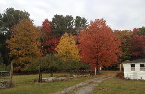 Apple Orchard & Forest Retreat with Woodland Pond - Foto 35