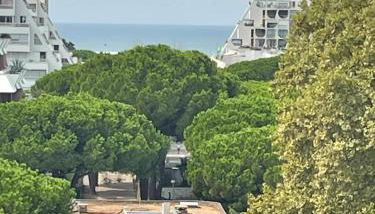 Vue panoramique pour ce grand studio en centre ville - Foto 5