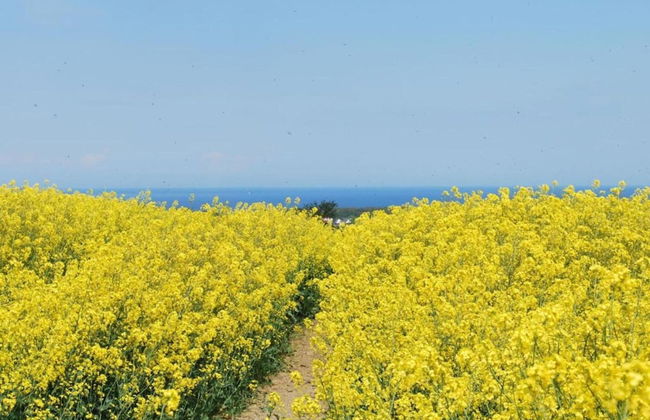 Lovely Apartment in Neubukow near Sea - Foto 36