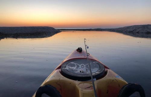 Morski Las - Foto 54