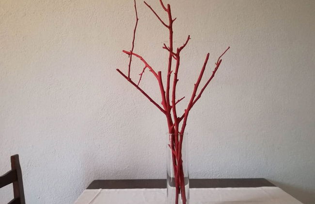 Villa Corallo - Photo 28