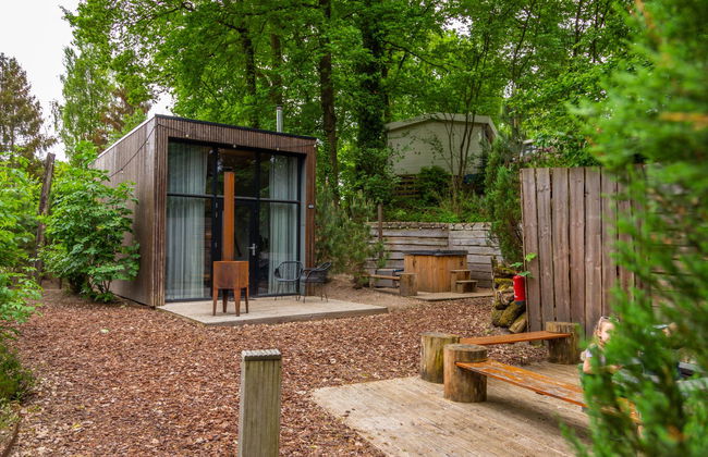 House in Belfeld with swimming pool and terrace - Photo 6