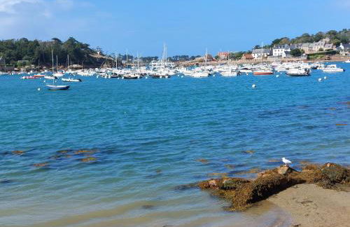 Les pieds dans l'eau à Ploumanac'h - Foto 13