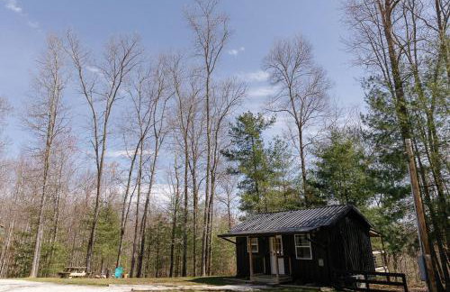 "Stars Hollow" Cozy Mini-Cabin in Muir Valley -RRG - Foto 11