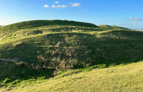 Hog Plum 2 Bed,Ground Floor, Centre Child Okeford - Photo 21