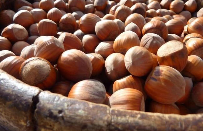 Hazelcreek Cottages - Photo 12