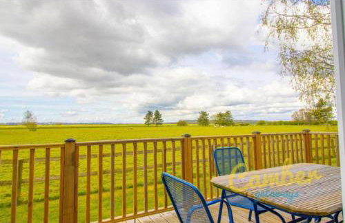 Puddledock - luxury lodge - Romney Marsh, Kent - Photo 12