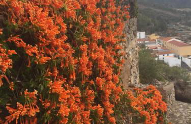 El Mirador - Foto 30