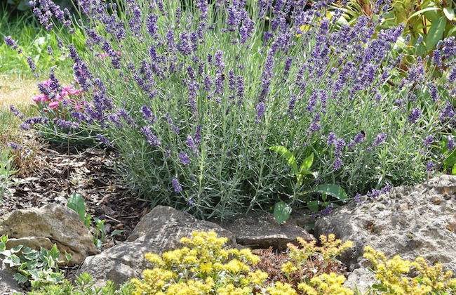 Holiday Home in Vulkaneifel - Foto 23