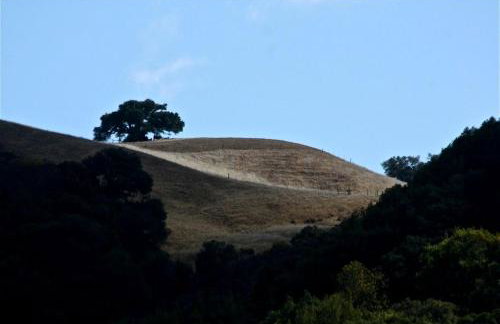 Chic Woodland Yurt Rental on a Wellness Ranch in Southern California - Foto 20