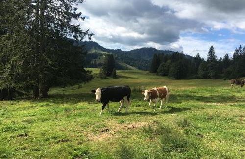 weitnaustyle - renoviert, modern, allergikerfreundlich - Photo 39