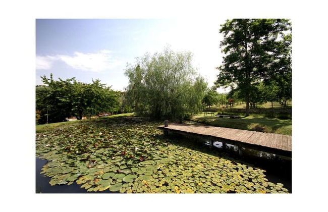 Holiday Home in San Donato With Vineyard Views - Photo 35