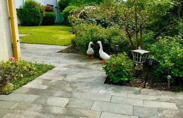 Haus mit Pool im Herzen Bochums - Foto 31