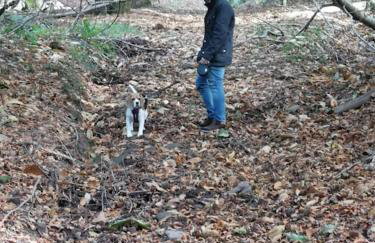 Zipworld Waterfalls Eryri Dogs Welcome 3 Bed sleeps 5 - Foto 26