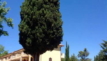 Villa Terrena - Foto 3