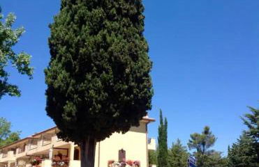 Villa Terrena - Foto 3