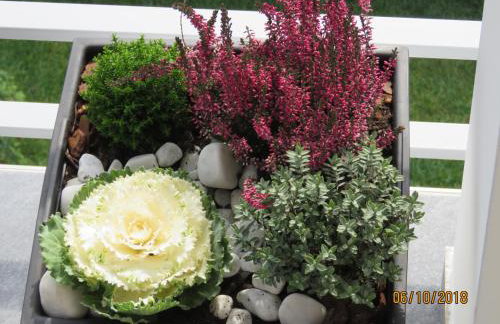 AQUA - TUHELJ - LAND - Foto 18