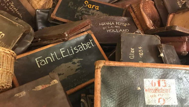 Auschwitz Birkenau Private Day Trip - Foto 2