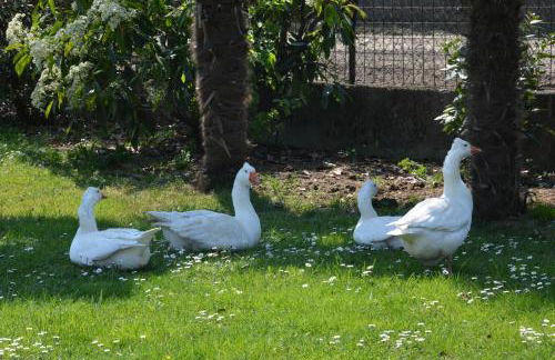 Apartment Magalita - Foto 6