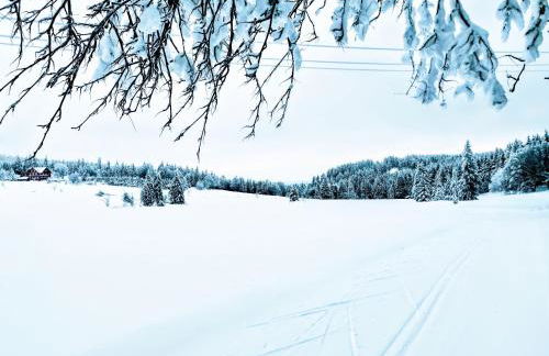 Gemütliches Blockhaus am Wald mit großem Garten - Foto 19