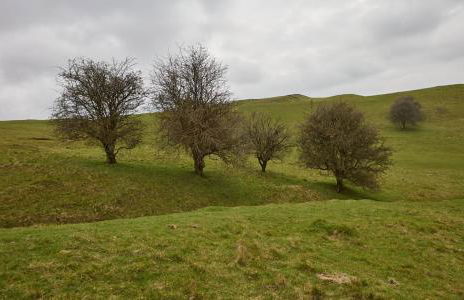 Fab 2 Bed Cotswolds Cottage With Private Courtyard - Foto 67