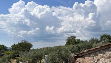 BORGO A MONTI di Sotto - Foto 5