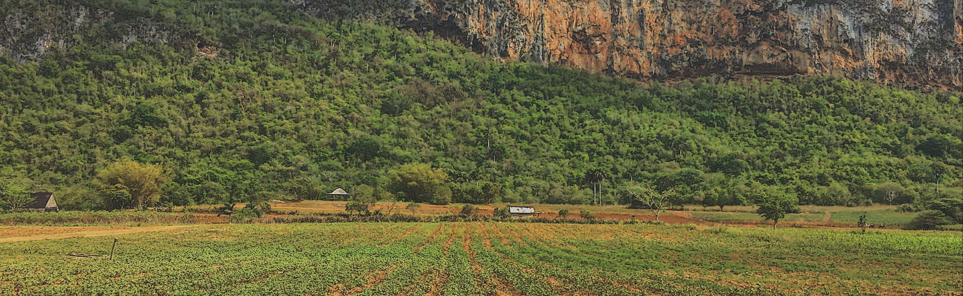 Hiking in Valle de Palmarito - Foto 1
