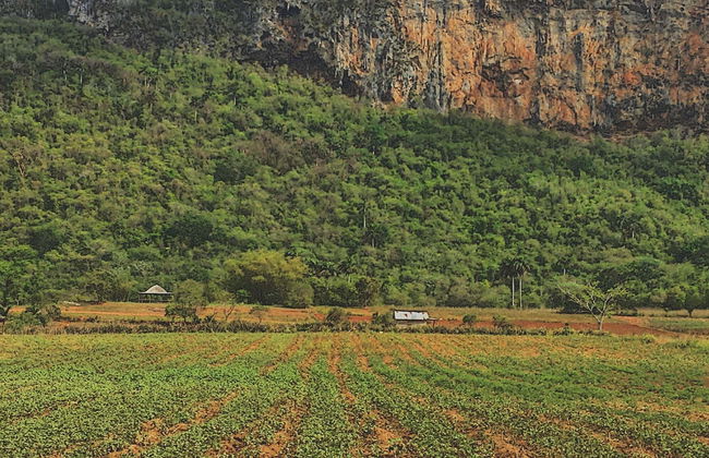 Hiking in Valle de Palmarito - Photo 1