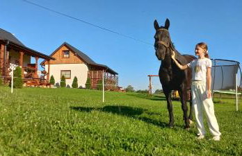 POD STARĄ PODKOWĄ komfortowy domek z kominkiem - Foto 39