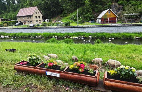 Neu! Ferienhaus Hotzenplotz - Wellness - Mandau - Fahrradweg - Foto 51