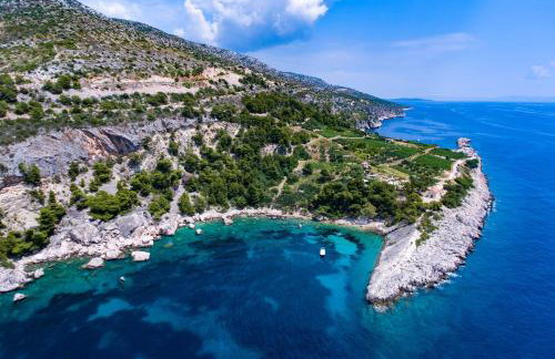 Apartments by the sea Cove Zarace, Hvar - 8778 - Photo 19