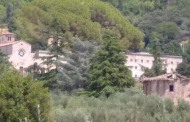 L'oasi di Alice - Foto 17